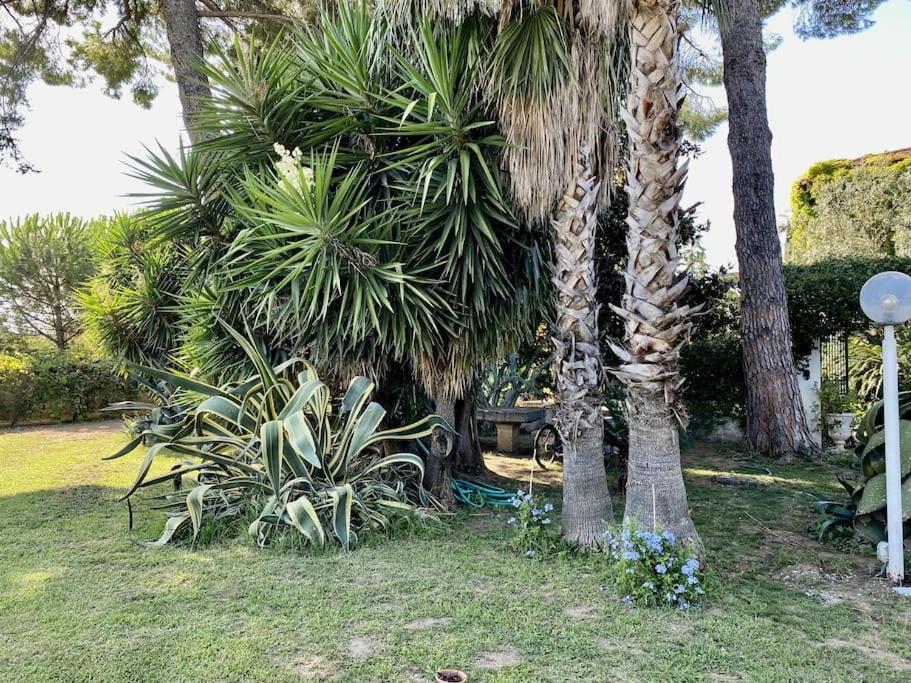 Ferienwohnung Voltapensieri Battipaglia Exterior foto